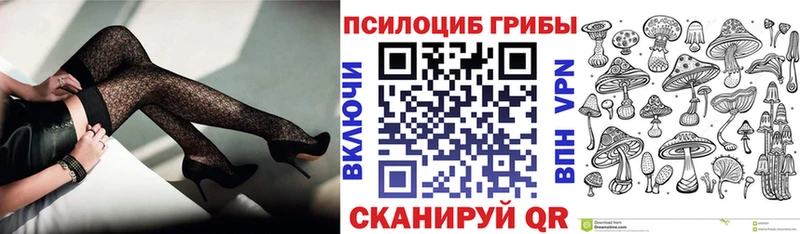 хочу наркоту Егорьевск маркетплейс клад Псилоцибиновые грибы Psilocybe