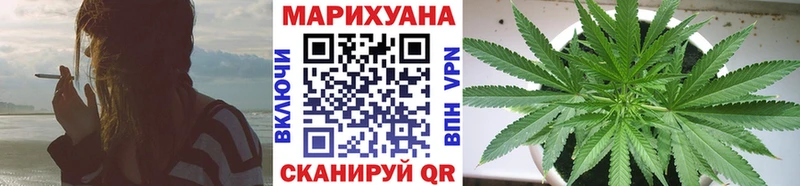 как найти Егорьевск МАРИХУАНА сатива